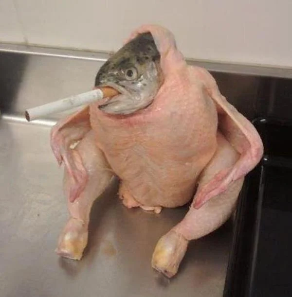 The original 'fish chicken smoking a cigarette' image that gave the meme its name.