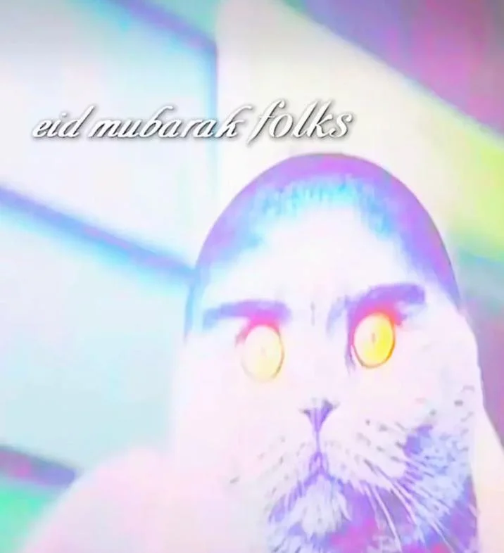 An 'Eid Mubarak Folks' greeting edit of the Folk Valley cat, playing on the word 'folks' from the meme's name.