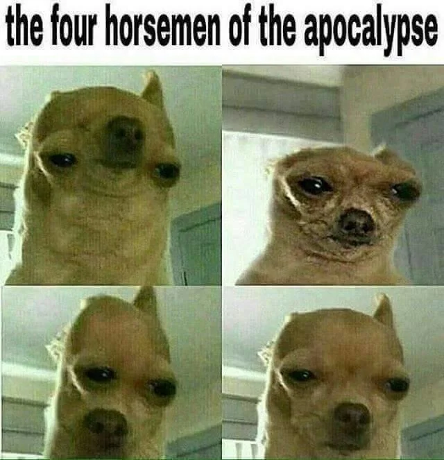 A humorous variation of the Four Horsemen of the Apocalypse format using four photos of the same squinting chihuahua.