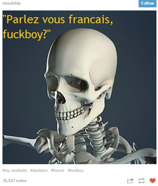 A popular Tumblr variation on the skeleton fuckboy meme by user misslahla, playing on the phrase in mock French.