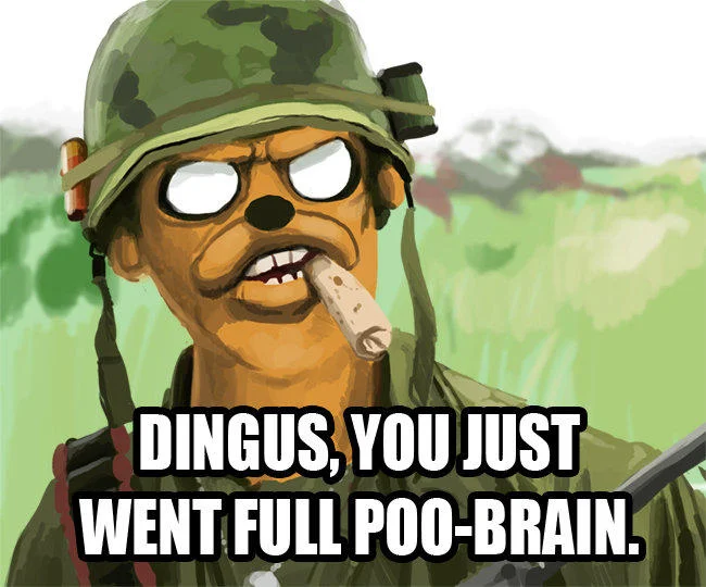 A stylized illustrated parody softening the meme's language to 'Dingus, you just went full poo-brain.'