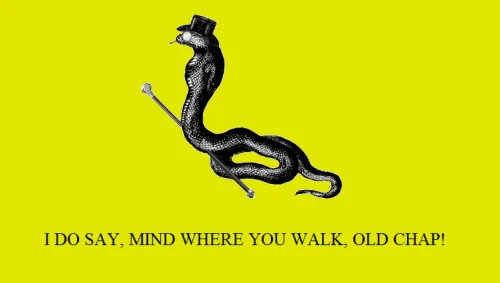Gadsden Flag Dont Tread On Me