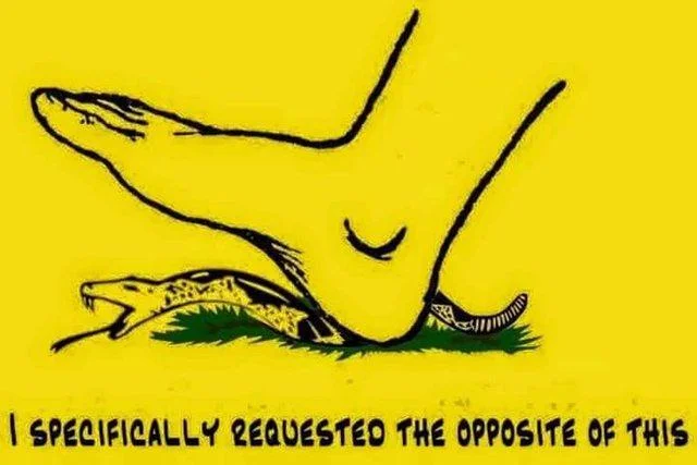 Gadsden Flag Dont Tread On Me