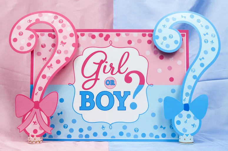 A typical gender reveal party setup with the iconic pink and blue color scheme.