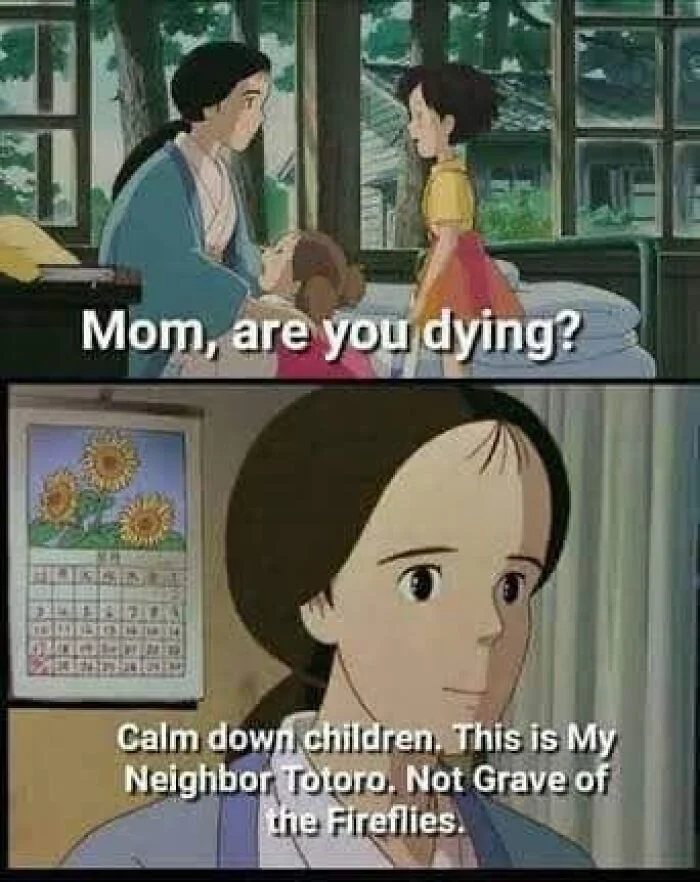 Ghibli films emotional tone comparison.