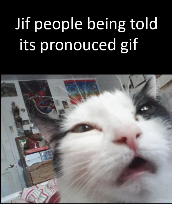 A skeptical cat reaction expresses how 'jif' pronouncers respond when they are told the correct pronunciation is 'gif.'