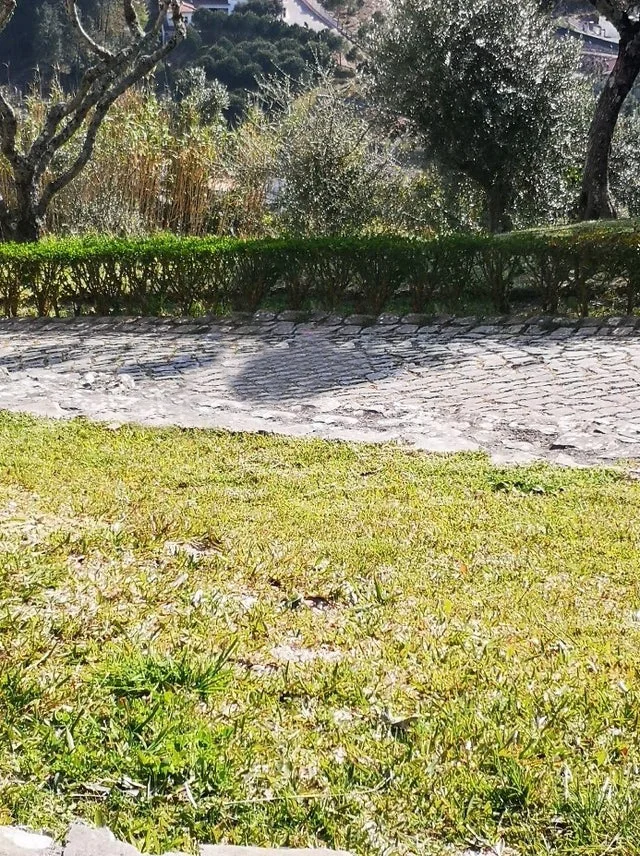 Empty location scene variant.