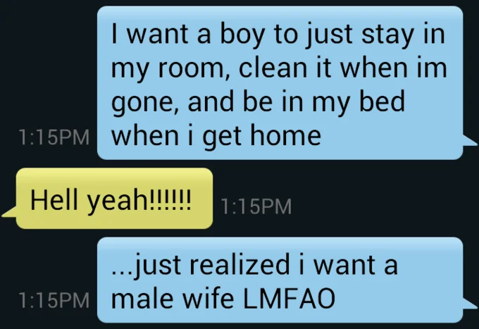A widely shared 2015 text-message screenshot credited as one of the earliest uses of 'male wife' in the modern meme sense.