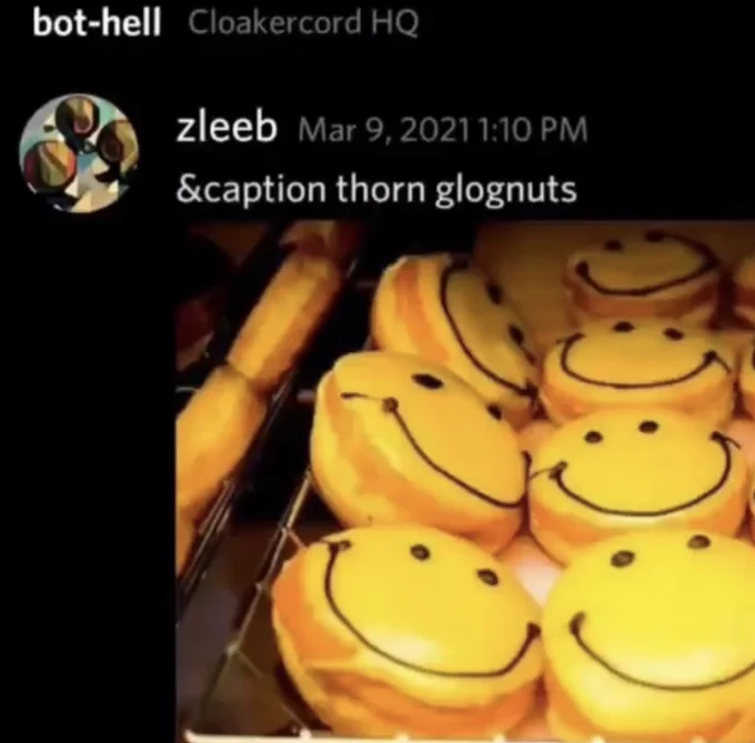 The original Discord post by zleeb that coined the term 'thorn glognuts', pairing the caption command with the now-iconic smiley-face donut image.
