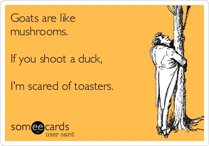 Someecards format version.