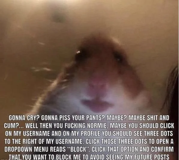The extended copypasta version of the meme overlaid on the 'staring hamster' image, complete with the instructions for blocking the poster.