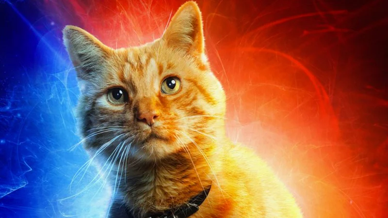 Goose the Cat as featured in official Captain Marvel promotional artwork.