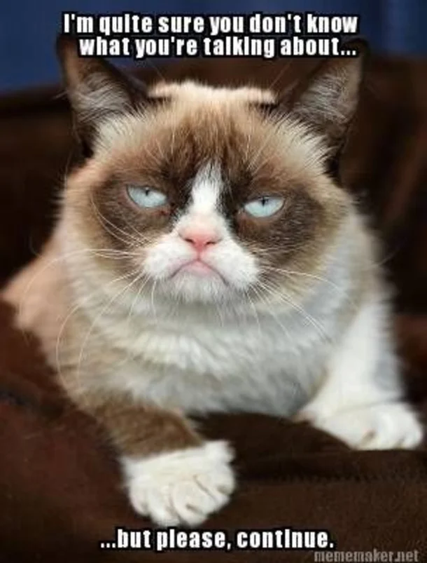 Grumpy Cat