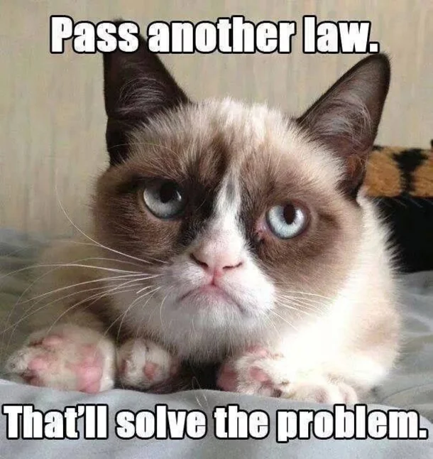 Grumpy Cat