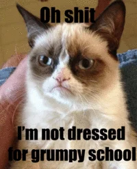 Grumpy school text image.