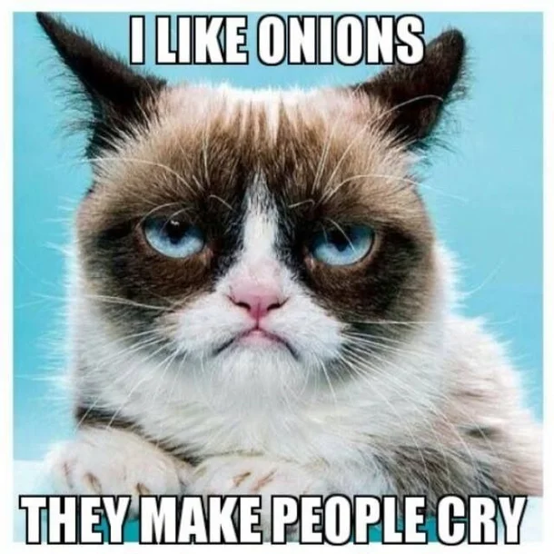Grumpy Cat