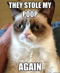 Poop theft bathroom humor.