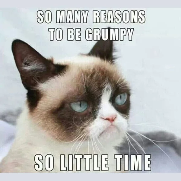 Reasons to be grumpy meme.