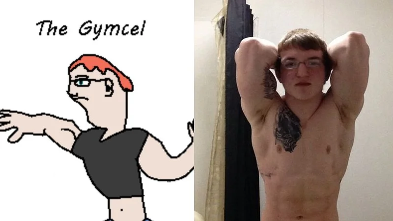Primary Gymcel diagram.