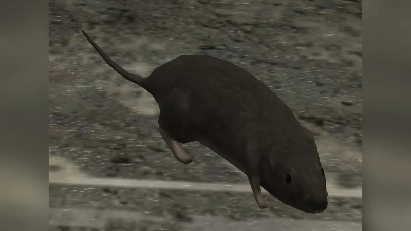 The iconic Halo 3 rat that became an absurdist internet phenomenon.