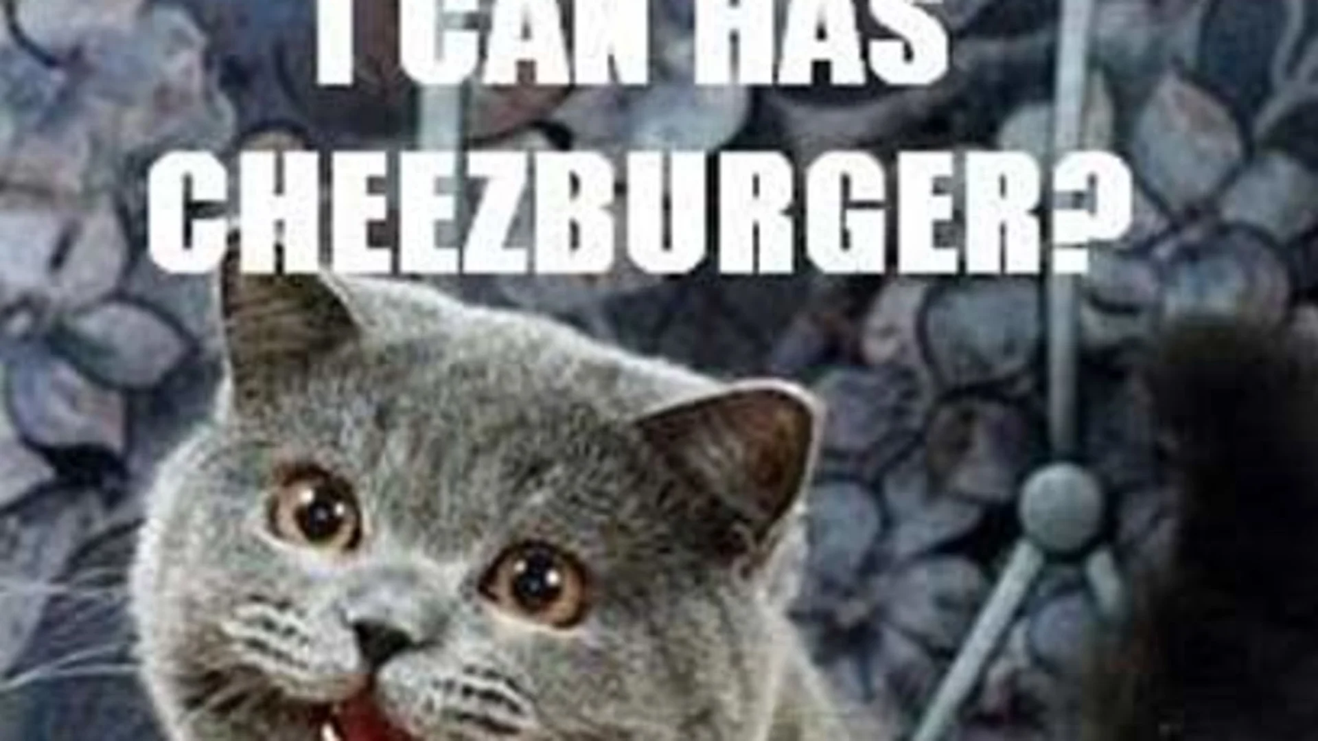 The original 'I Can Has Cheezburger?' image macro featuring Happy Cat, widely considered the founding image of the LOLcats phenomenon.