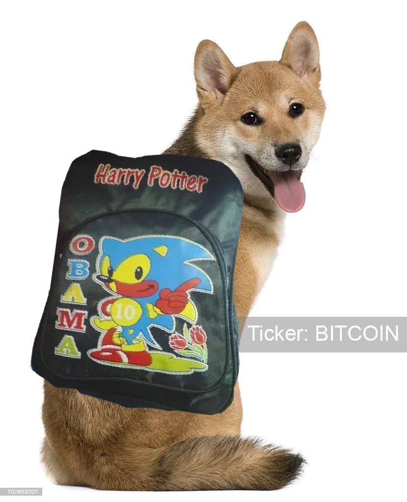 HarryPotterObamaSonic10Inu: Shiba Inu crypto reference.