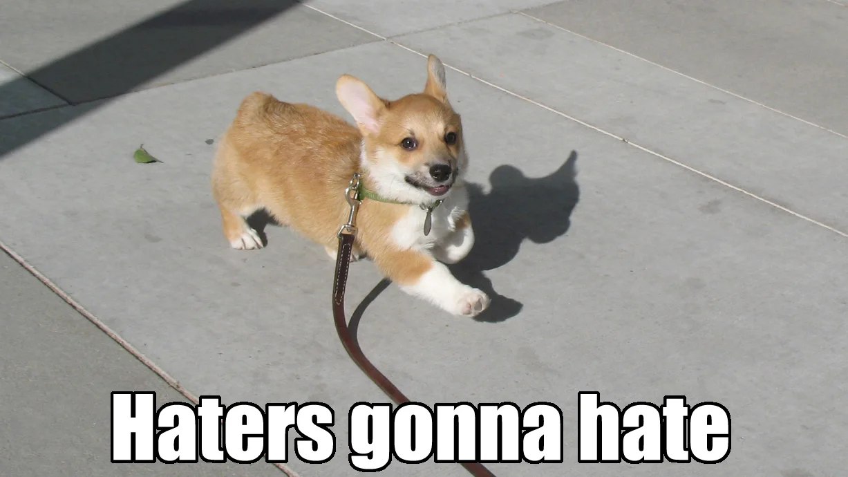 The iconic strutting Corgi puppy image widely credited as one of the defining visuals of the 'Haters Gonna Hate' meme.