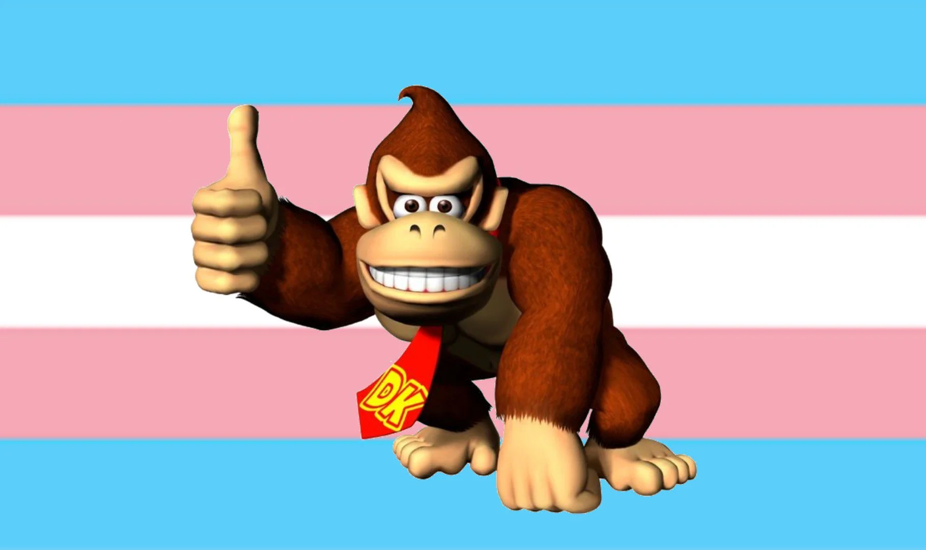 Donkey Kong became a trans icon following Hbomberguy's charity Donkey Kong 64 marathon stream that raised over $340,000 for Mermaids UK.