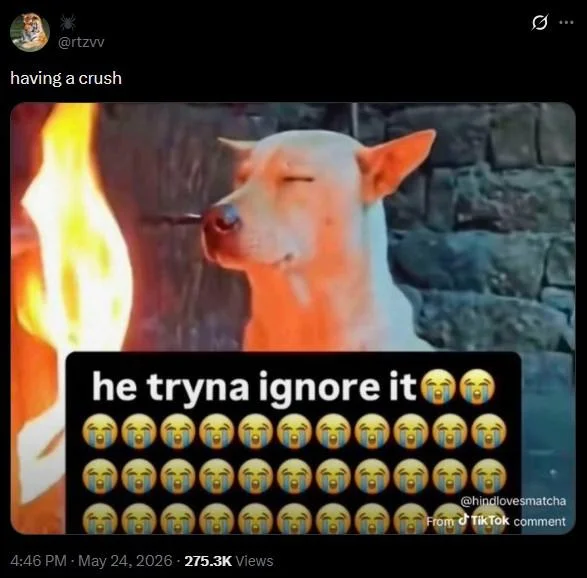 A TikTok comment applies the 'he tryna ignore it' phrase to LeBron James seemingly ignoring superfan Jimmy Goldstein staring at him.