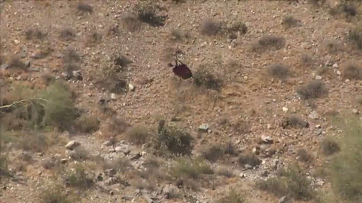 Helicopter Lady Rescue
