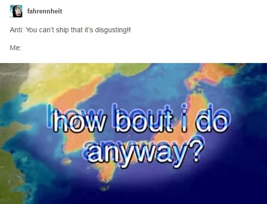 A Tumblr reaction post using the popular 'how bout i do anyway?' still from the video.