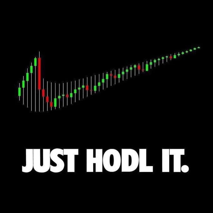 Candlestick chart perfectly representing HODL philosophy.
