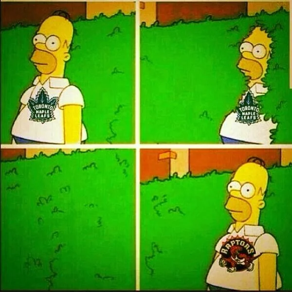 Toronto sports remix of the Homer-backs-into-bushes template swapping Maple Leafs fandom for the Raptors.