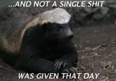 Honey badger with iconic 'don't care' catchphrase variation.