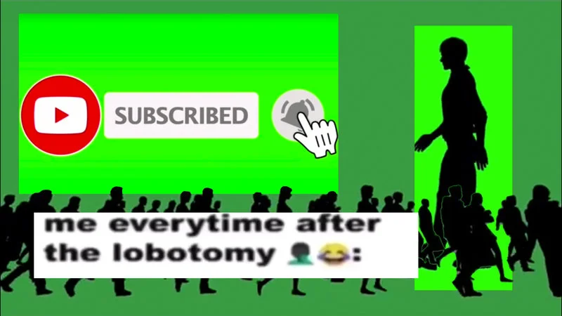 A meme image from the Lobotomy format, which shares themes with Hood Irony through absurdist humor.