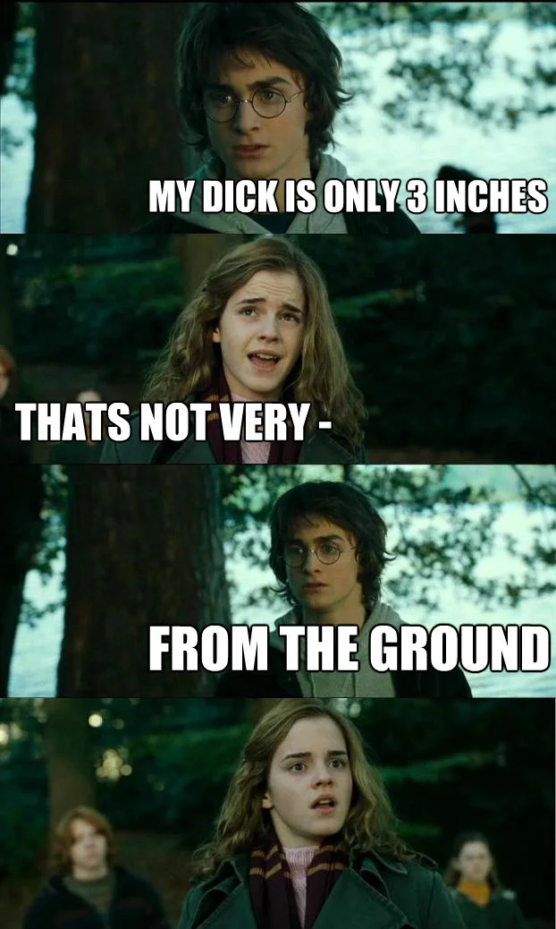 The iconic Horny Harry four-panel image macro that established the meme format, using stills from Harry Potter and the Prisoner of Azkaban.