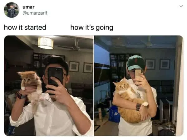 Humorous pet growth or relationship development progression.