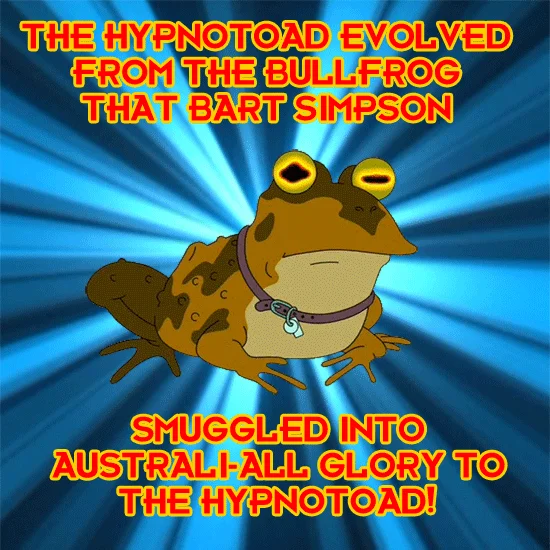 A humorous Hypnotoad origin meme referencing a classic Simpsons episode set in Australia.