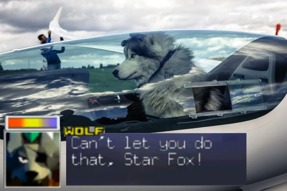 A husky-piloted jet mashup recreates Wolf O'Donnell's signature Star Fox 64 line.