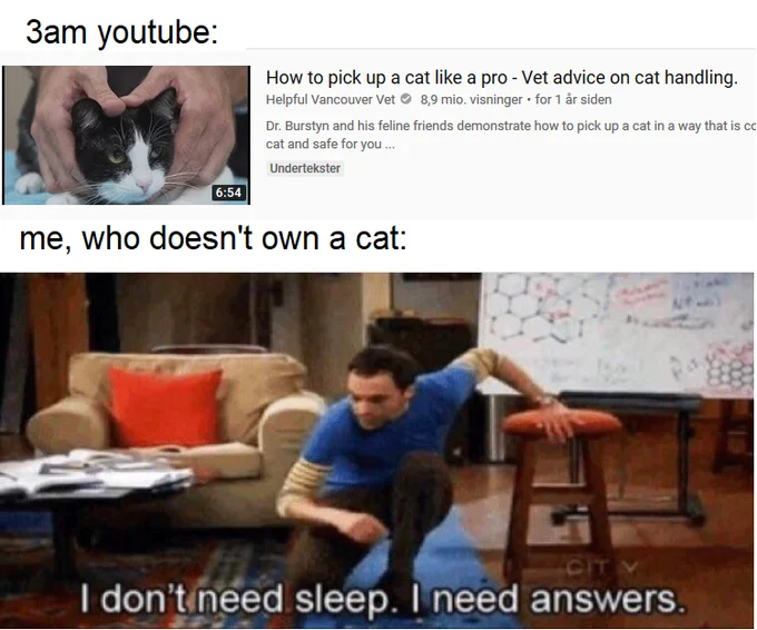 YouTube recommendations versus viewer sleep intentions.
