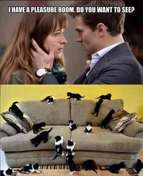A cat-lover's take on the meme, revealing a room overflowing with kittens as the ultimate pleasure.
