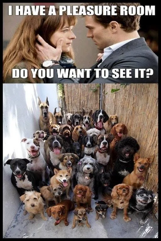 A dog-lover's version of the meme, where the pleasure room is filled with an enormous pack of dogs.
