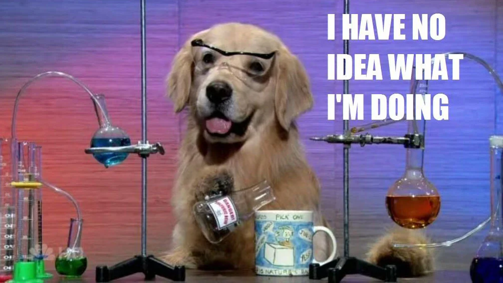 The iconic 'Chemistry Dog' image that popularized the 'I Have No Idea What I'm Doing' meme, showing a golden retriever posing as a confused scientist.