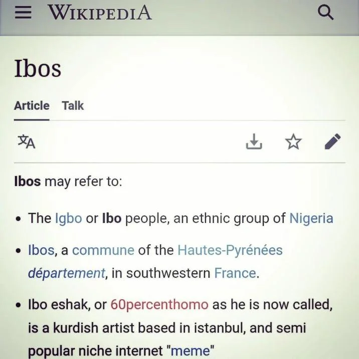 A parody Wikipedia disambiguation entry describing Ibo Eshak as a Kurdish artist and 'semi popular niche internet meme'.