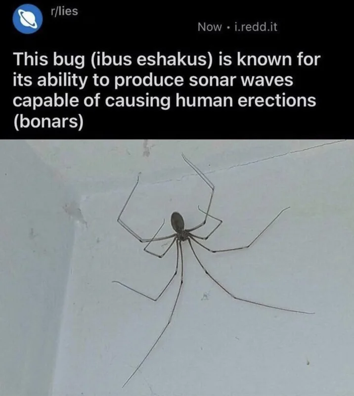 A joke r/lies post using the pseudo-Latin name 'ibus eshakus,' one of many wordplay riffs on Ibo Eshak's name.