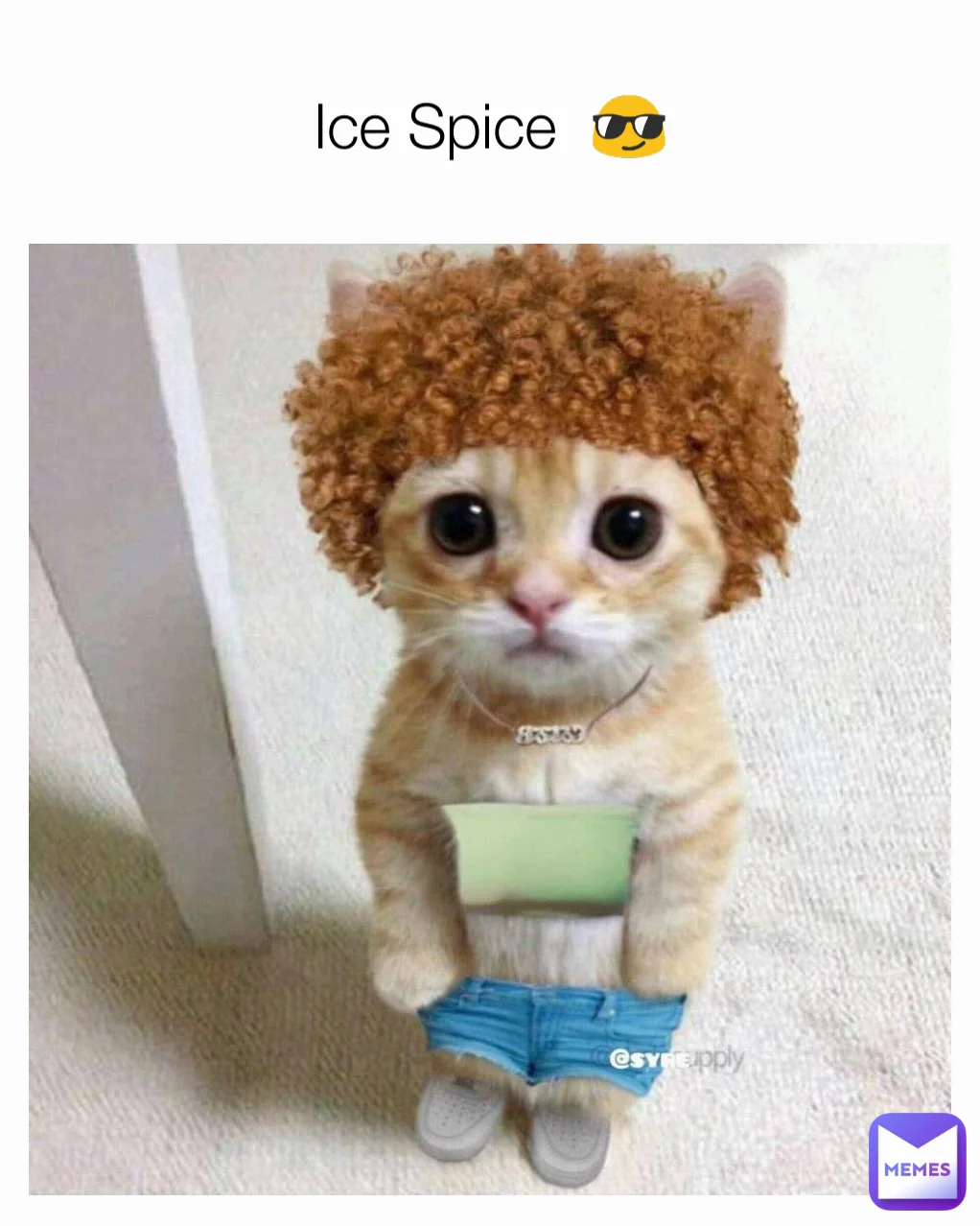 Cute animal parody captures rapper aesthetic.