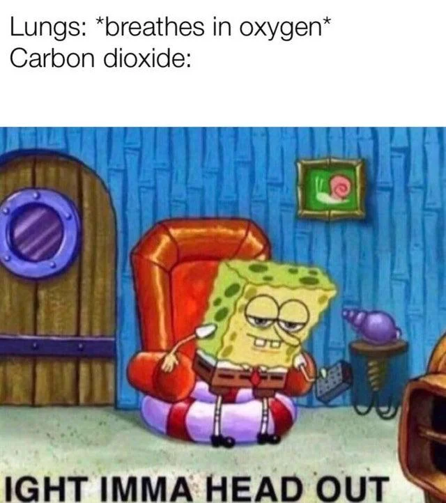 Ight Imma Head Out