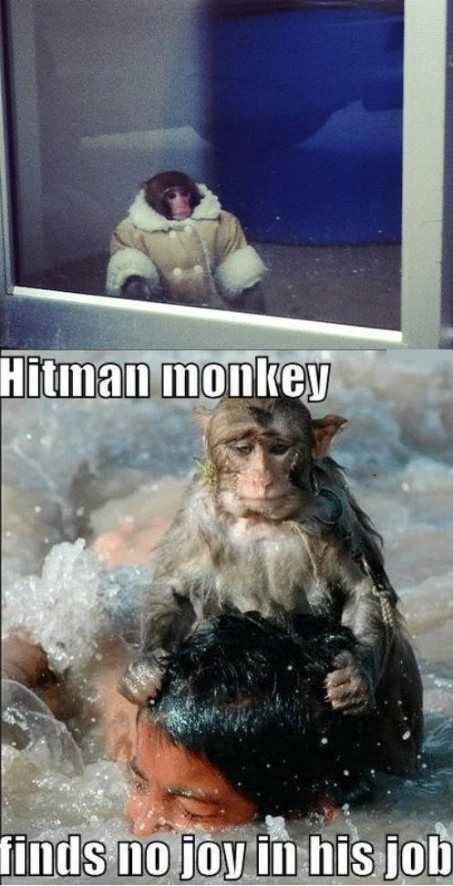 A dark-humor image macro reimagining Darwin as a reluctant "hitman monkey," one of many photoshop and caption remixes the meme inspired.