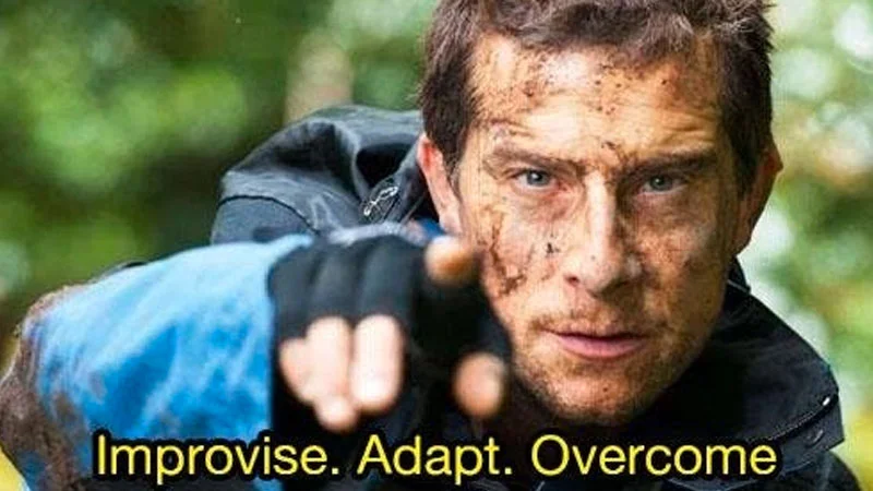 The definitive canonical meme format.