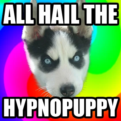A remix meme repurposing the Insanity Puppy image as 'Hypnopuppy' on a psychedelic rainbow background.